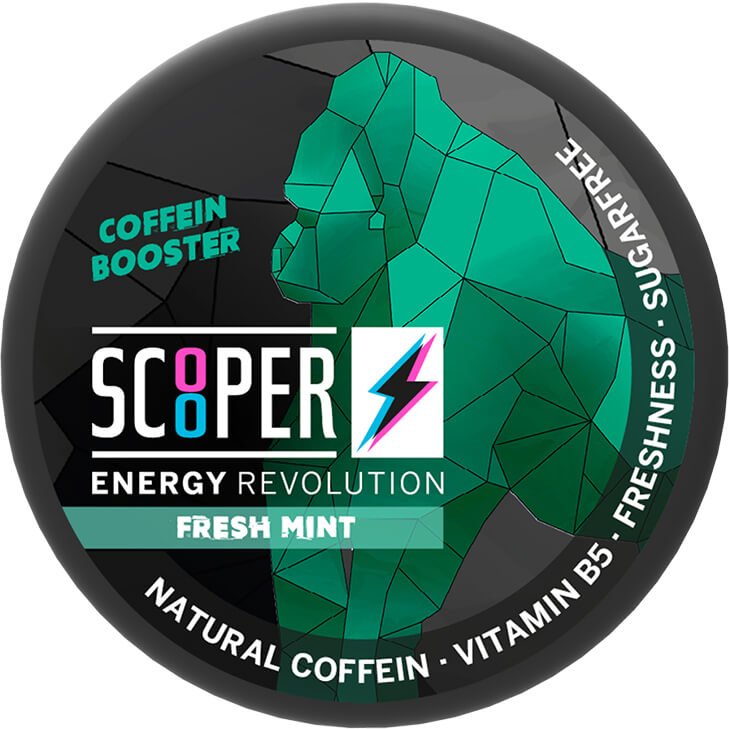 Scooper Energy Fresh Mint